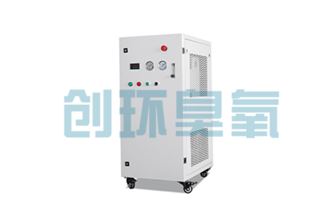 新乡比传统换水更高效?臭氧发生器在石斑鱼养殖中的水质净化原理解析